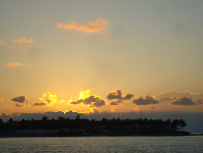 DSC02143.jpg