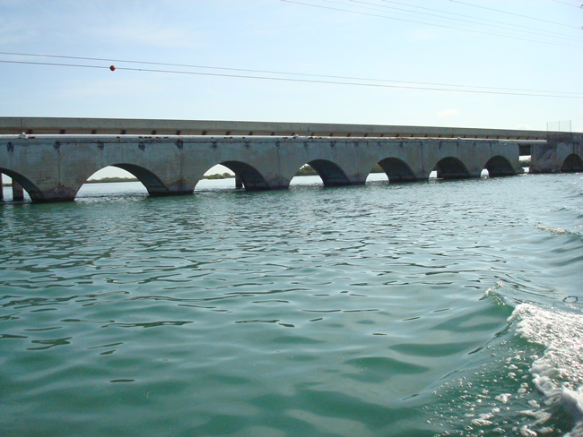DSC02208.jpg