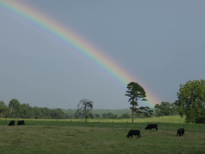 Rainbow Detail2.jpg