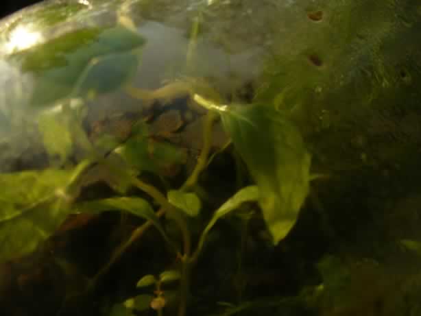 P1030610buggs6-11.jpg