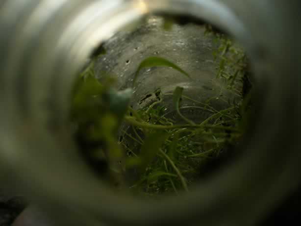 P1030619buggs6-11.jpg