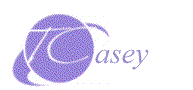 My logo and flash movie
