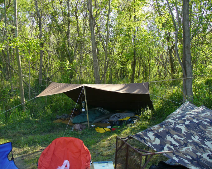 P1000113.jpg