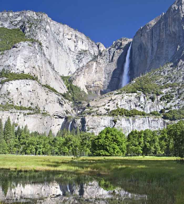 Yosemite Falls and marsh