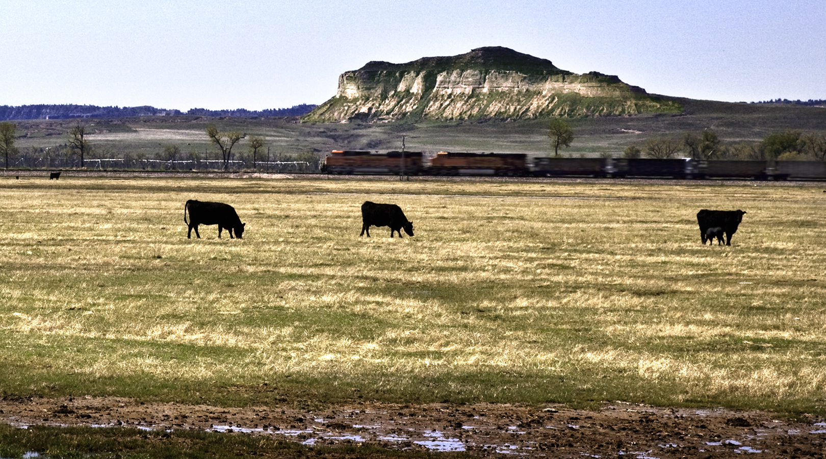 Nebraska scene