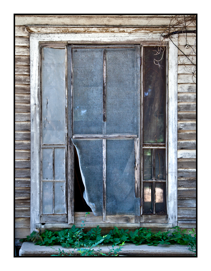 Torn screen