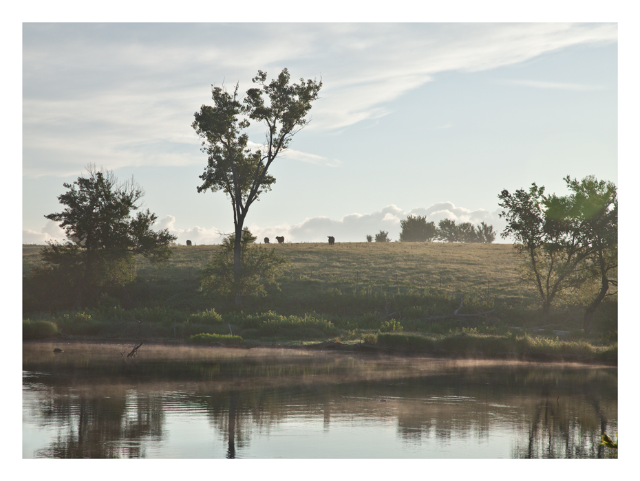 Quiet morning