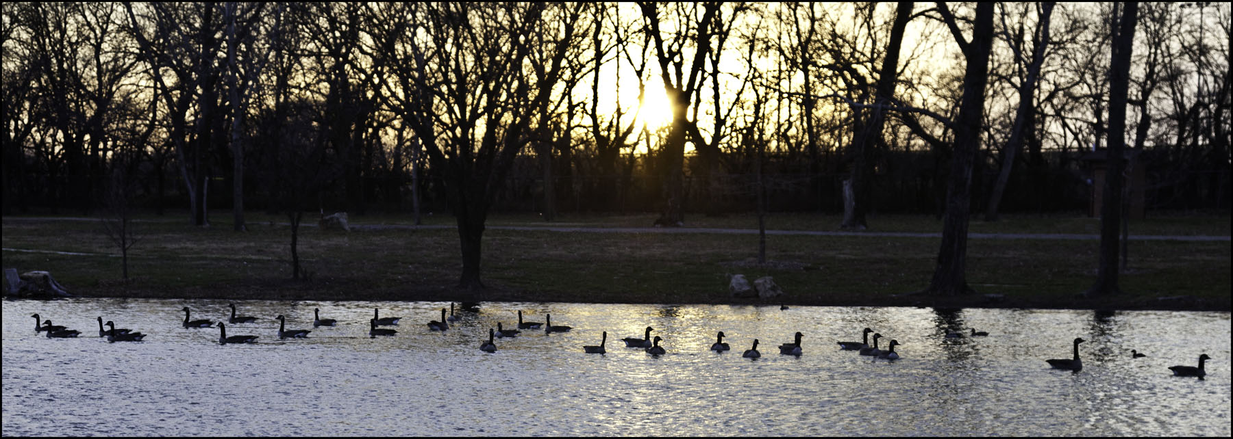 Quietude in Winter.