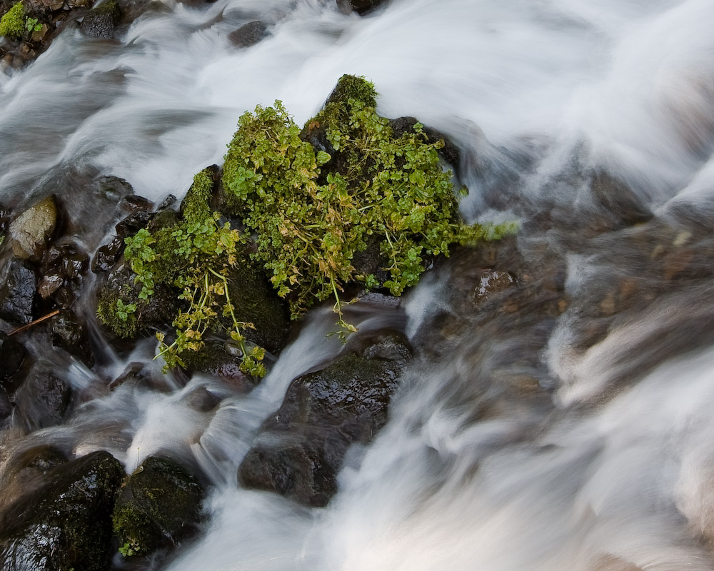 Aug 16 08 Colum River Gorge POTN Meet-84-2.jpg