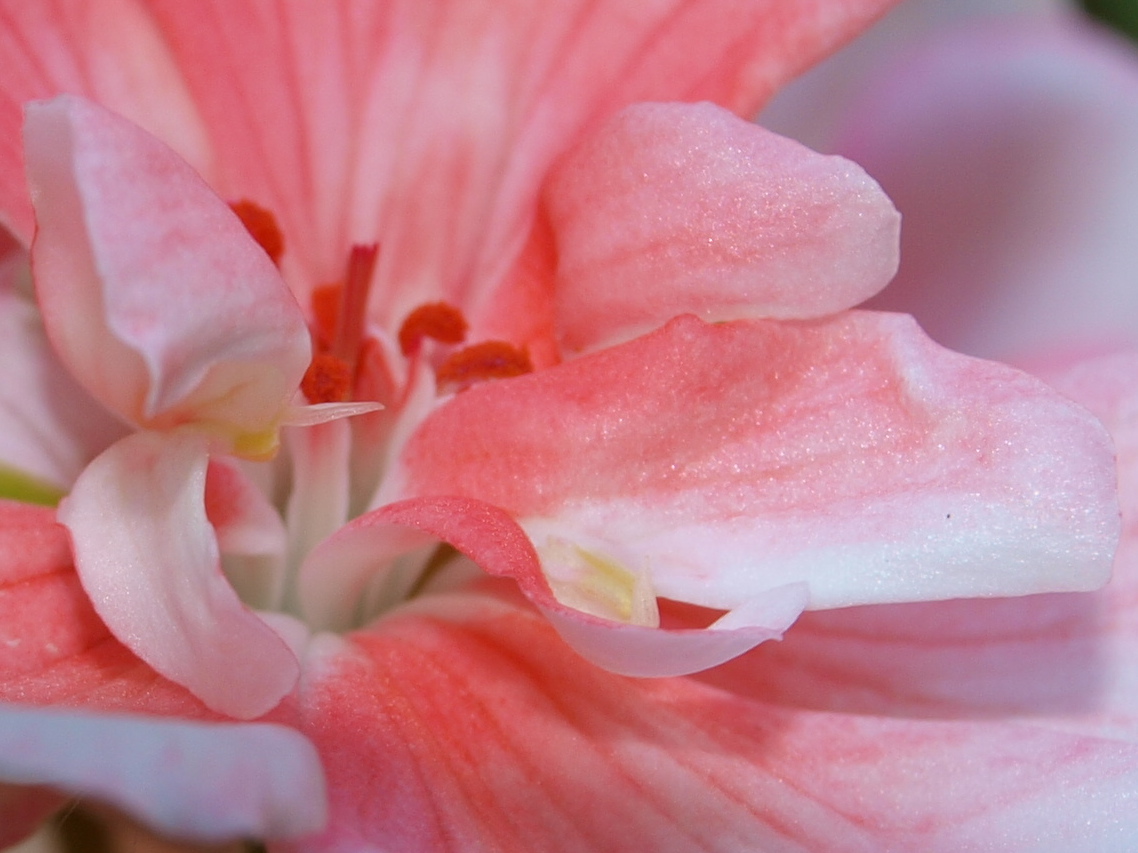 P5240413_2.JPG