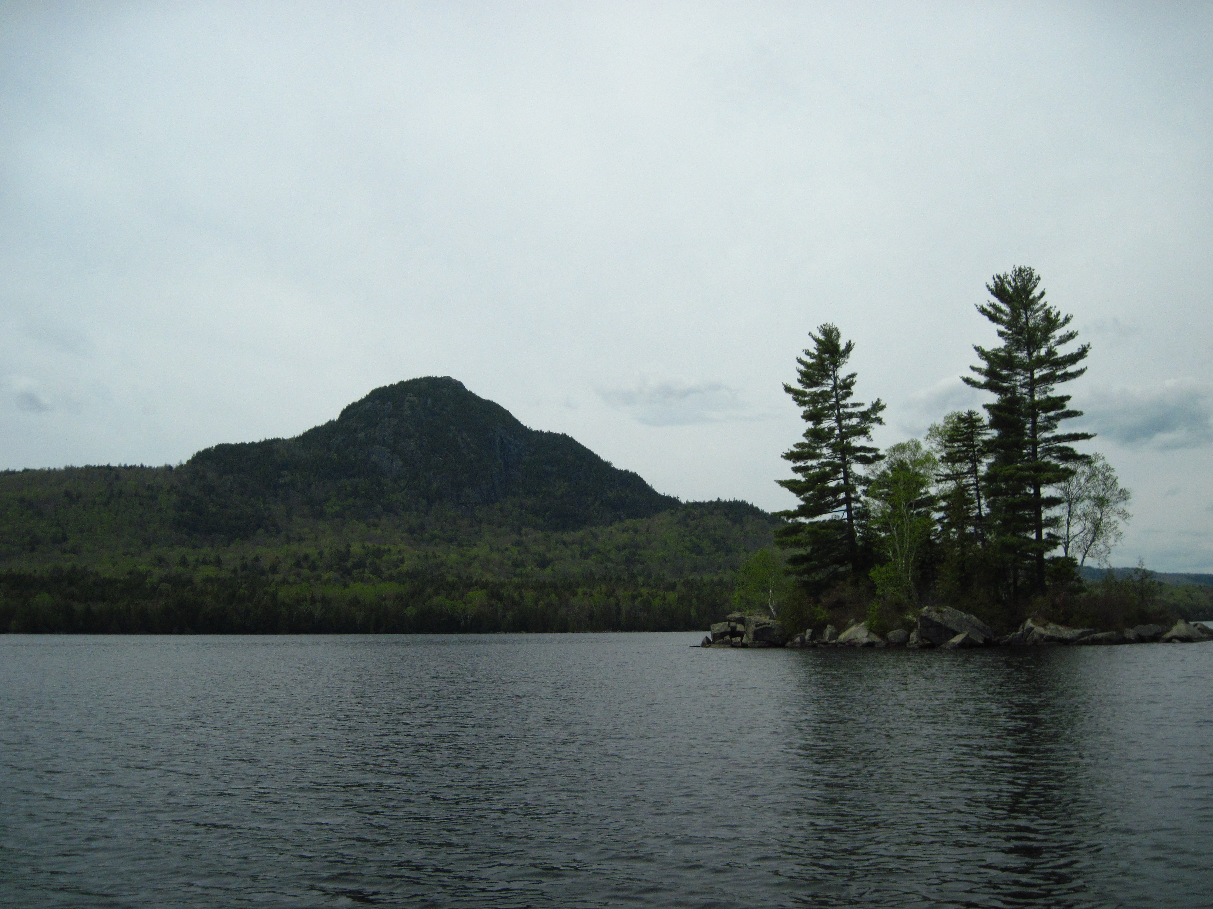 IMG_2351.JPG