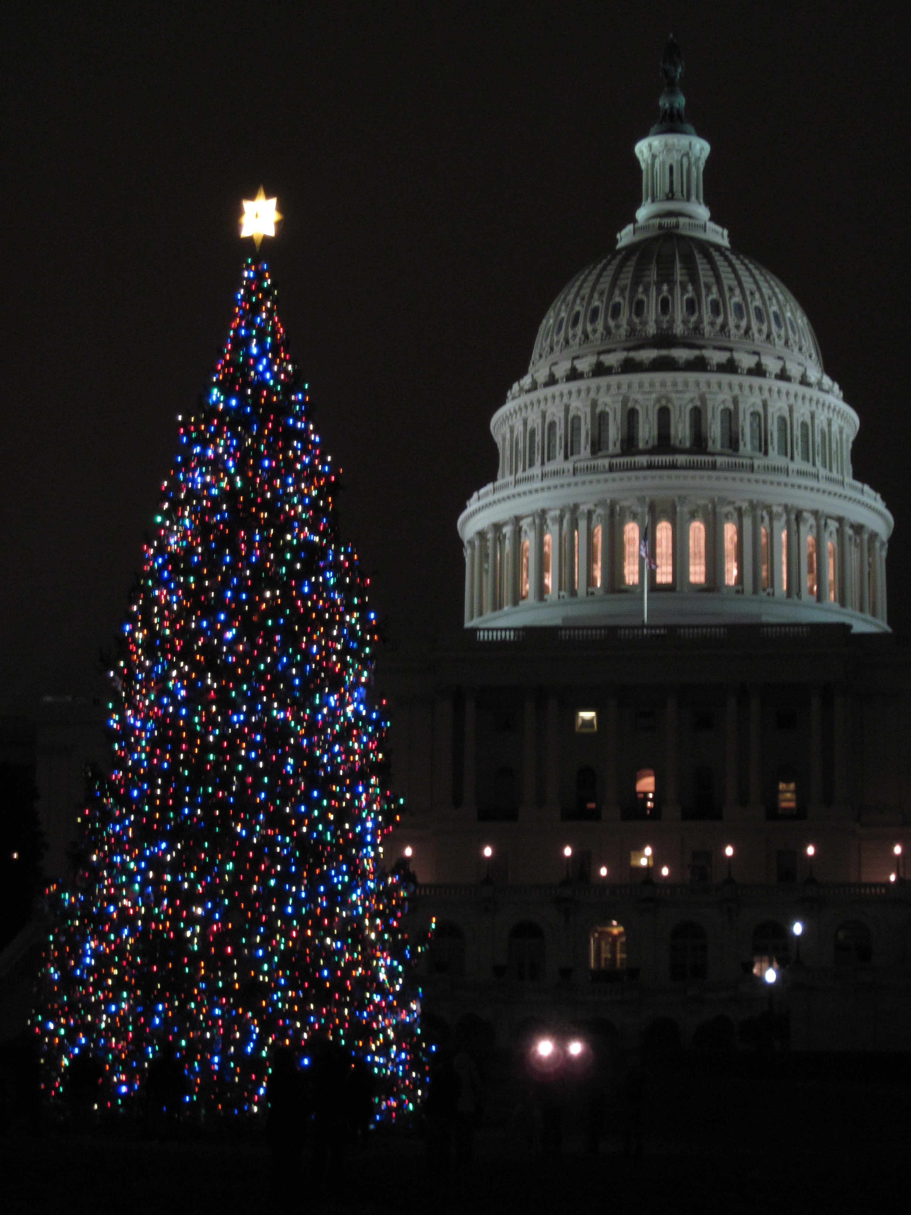 The Capitol & The Peoples Tree