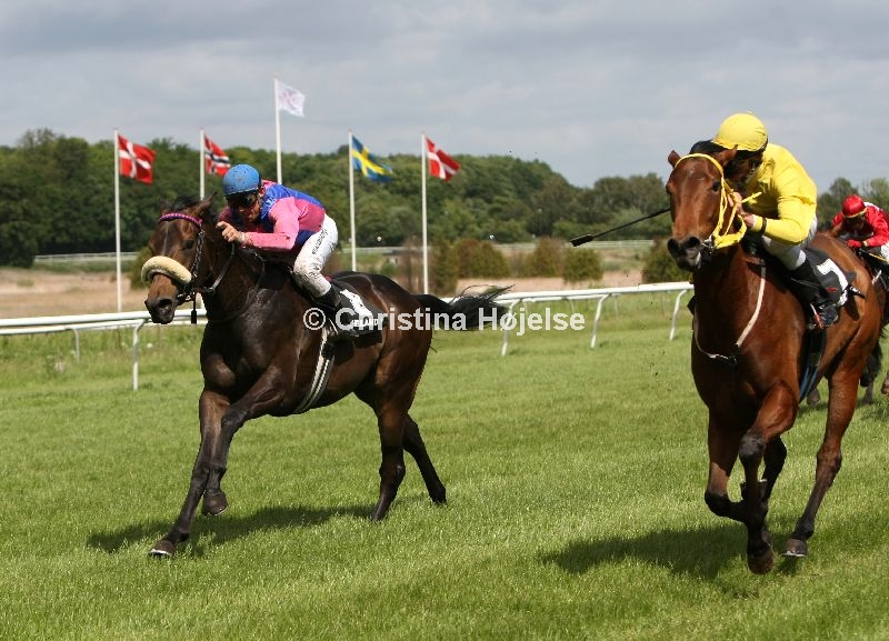 7557c.jpg (Sir Randolph & Half Dane)