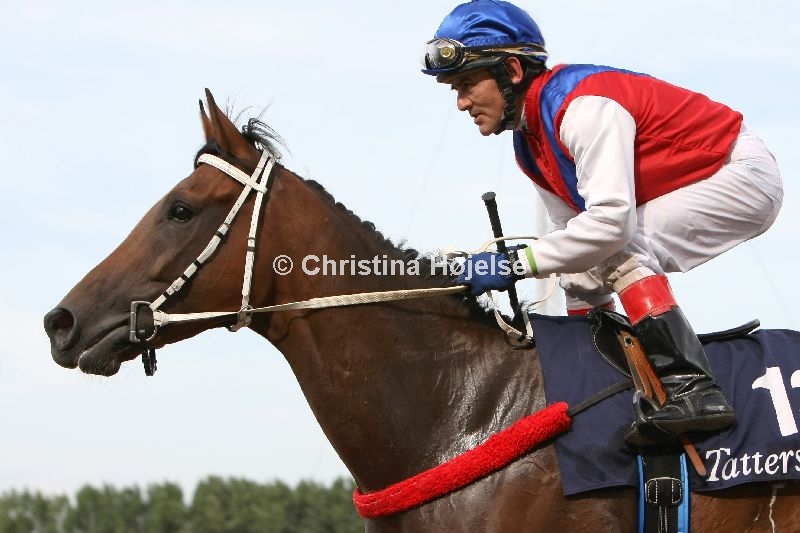 8625d.jpg (Western Prospect)