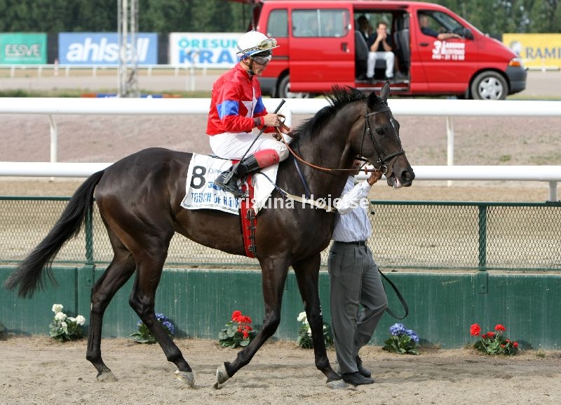 8894d.jpg (Touch Of Hawk)