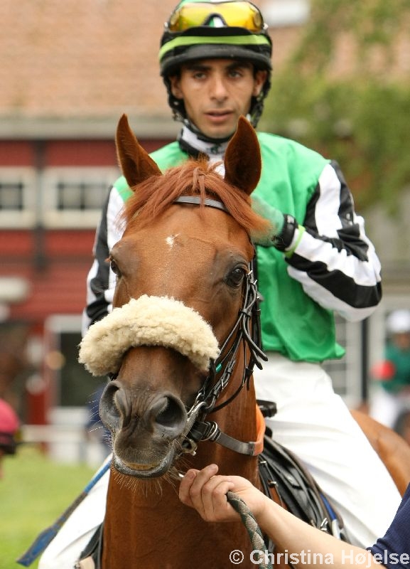 9868d.jpg (Count Almaviva)