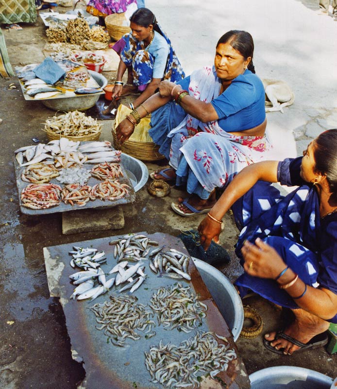 Fish, Diu