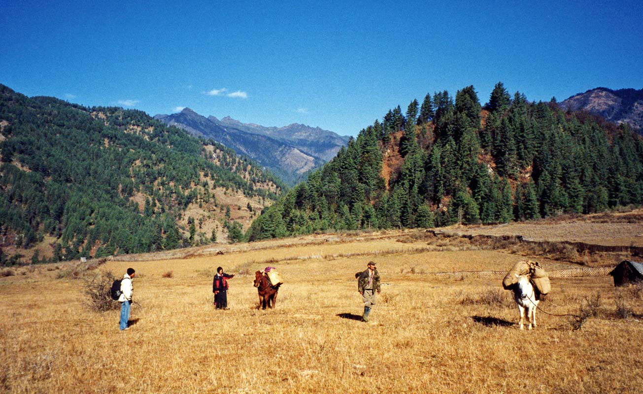 Campsite, Bumthang trek