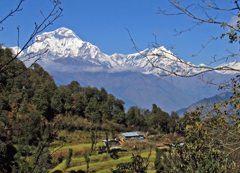 Dhaulagiri