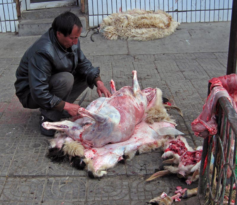 Dismembering a goat