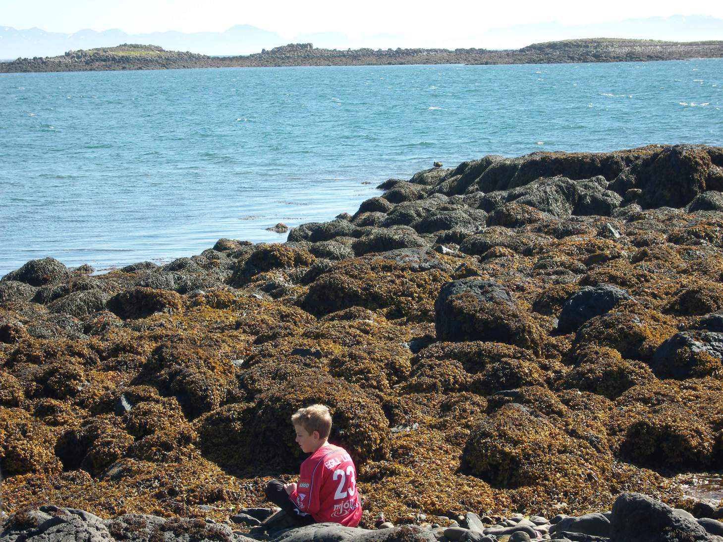 Egill Logi fann margan steininn
