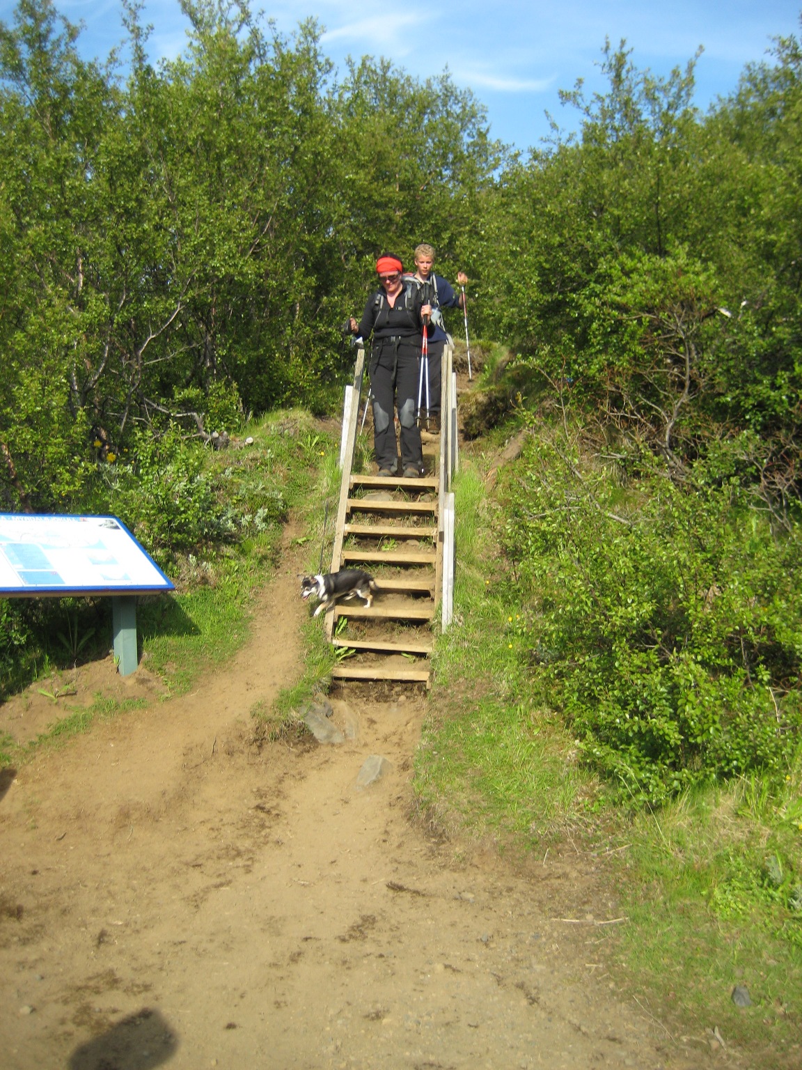 Komi niur  Bsa