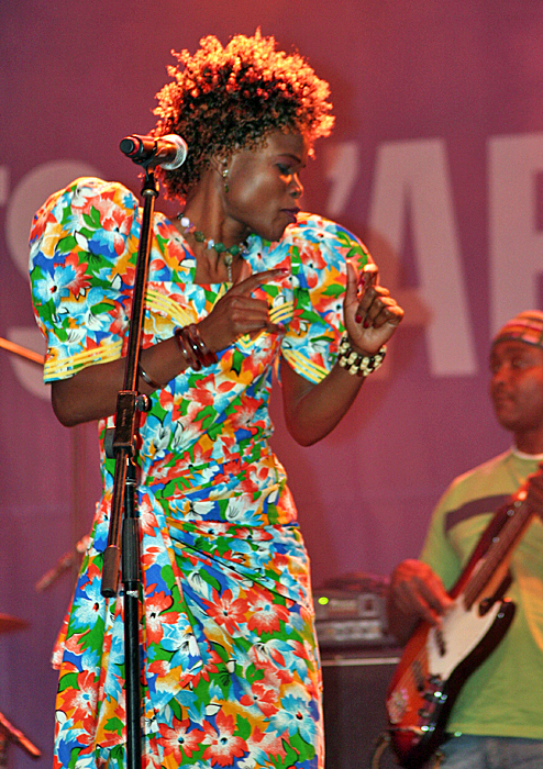 Festival international Nuit dafrique 2008