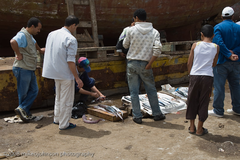 115Fresh Fish Market.jpg