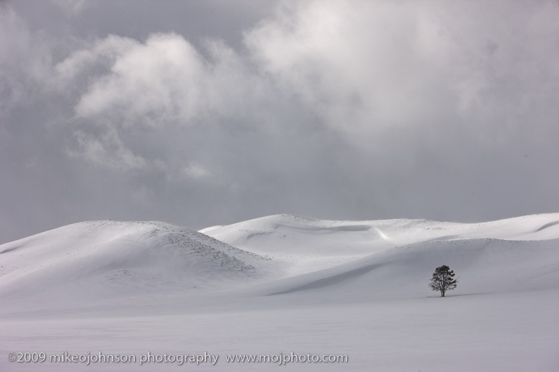 018-Tree in Snow Landscape
