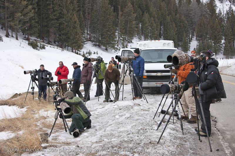 034-Photographers Hoping for Wolves