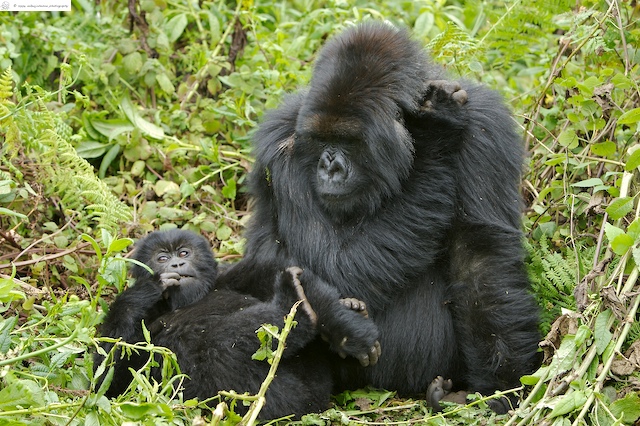 Mother and Child
