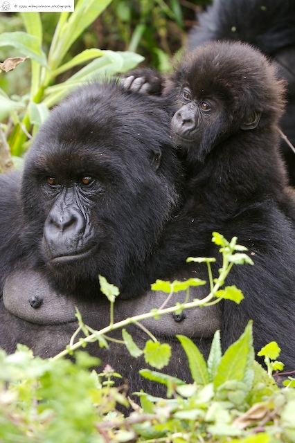 Mother and child