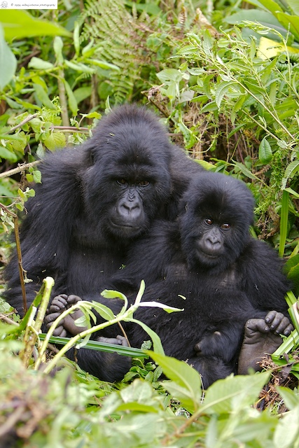 Mother and child