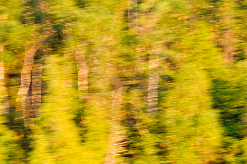 Shoreside blur