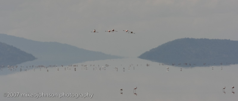 06Impressions of Lake Manyara