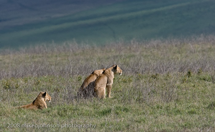 50Pride Watches the Kill
