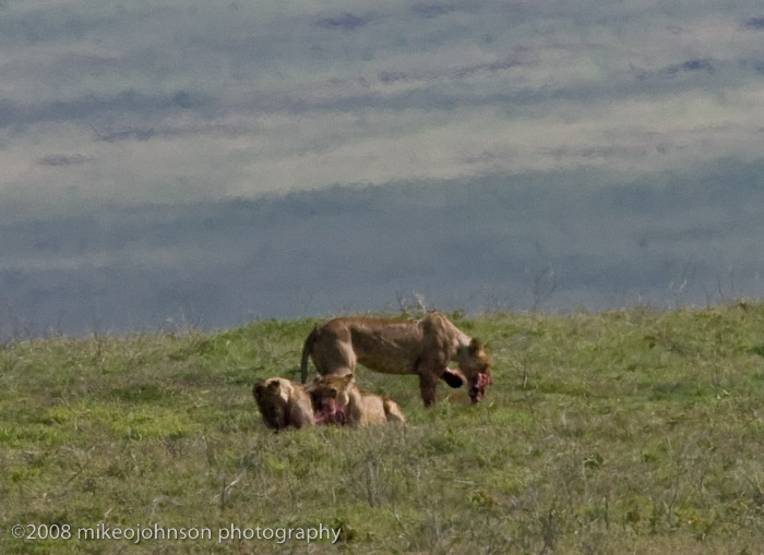 57Sharing the meal