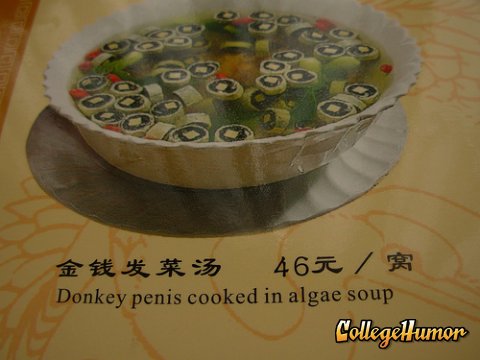algae soup.jpg