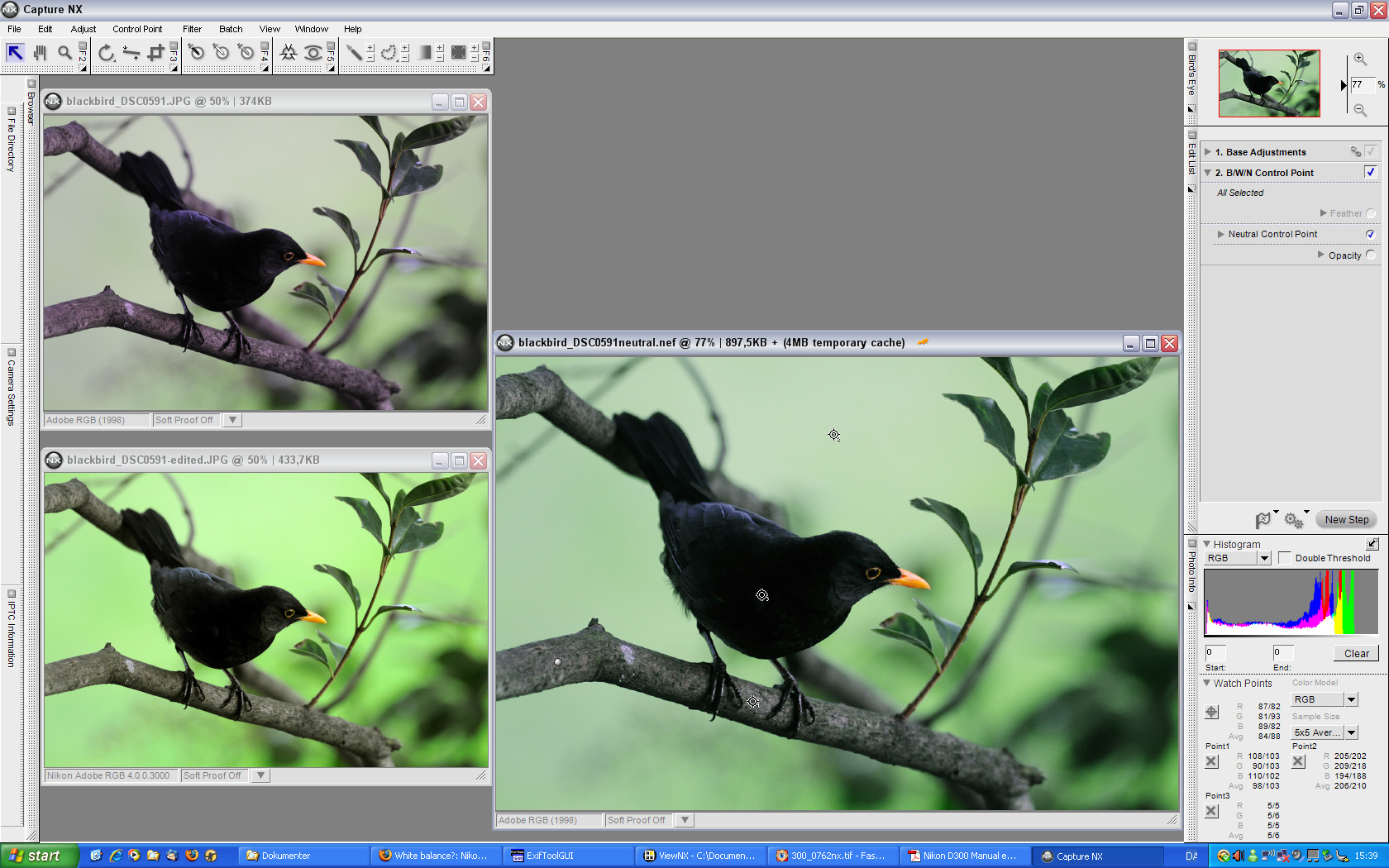 blackbird nx.jpg