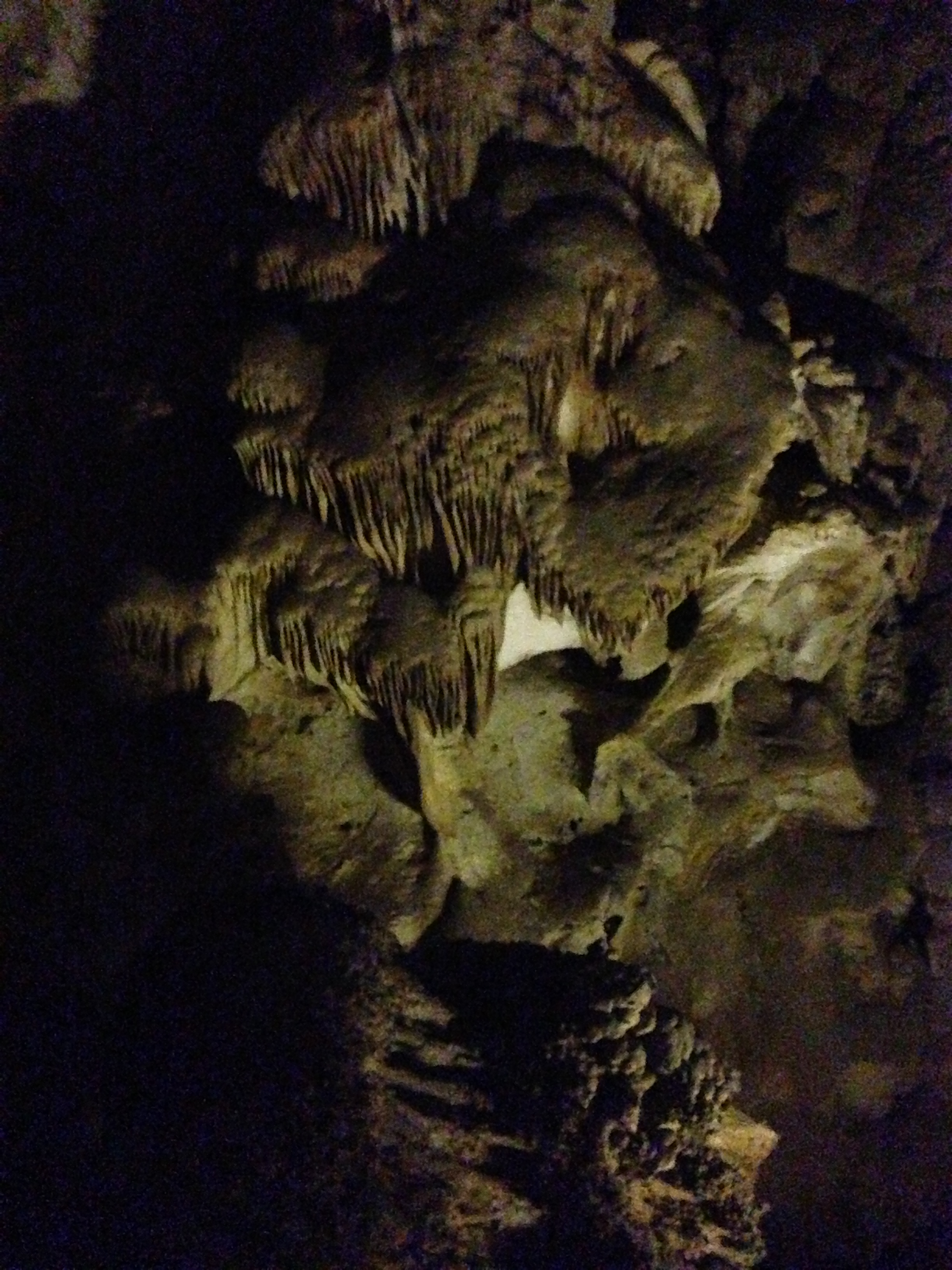185.JPG
