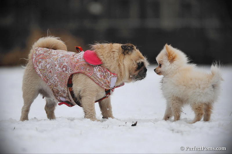 Feb17_10_290.jpg