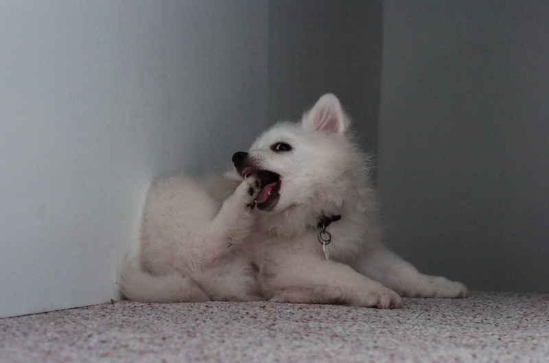 Dec30_06_356.JPG