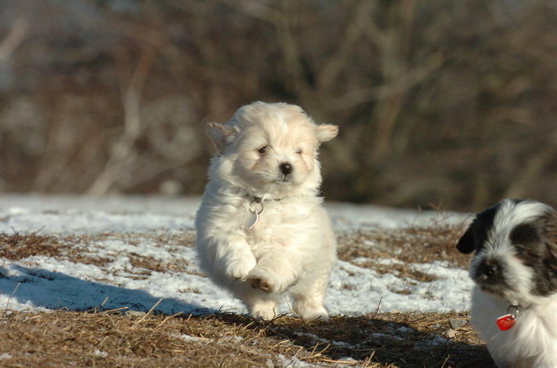 Feb23_07_307.JPG