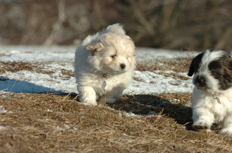 Feb23_07_308.JPG