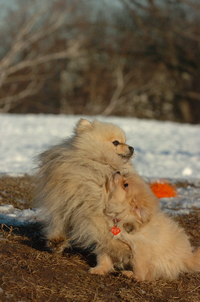 Feb28_07_410.JPG