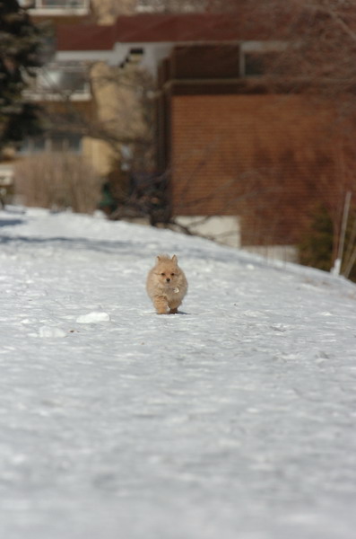Mar8_07_1130.JPG