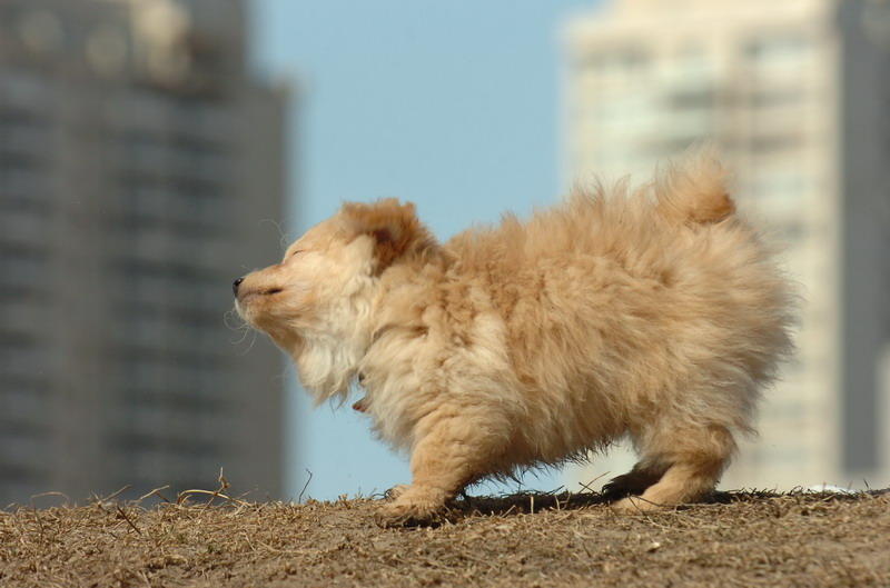 Mar8_07_657.JPG