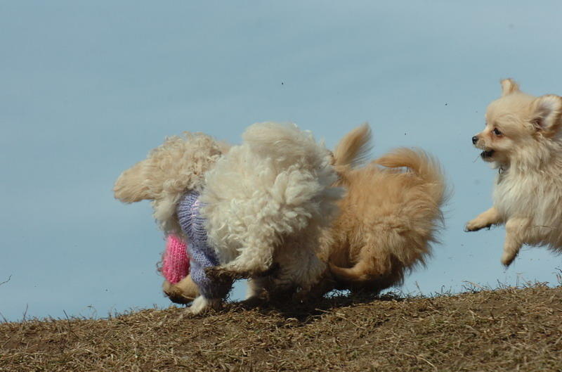 Mar9_07_356.JPG