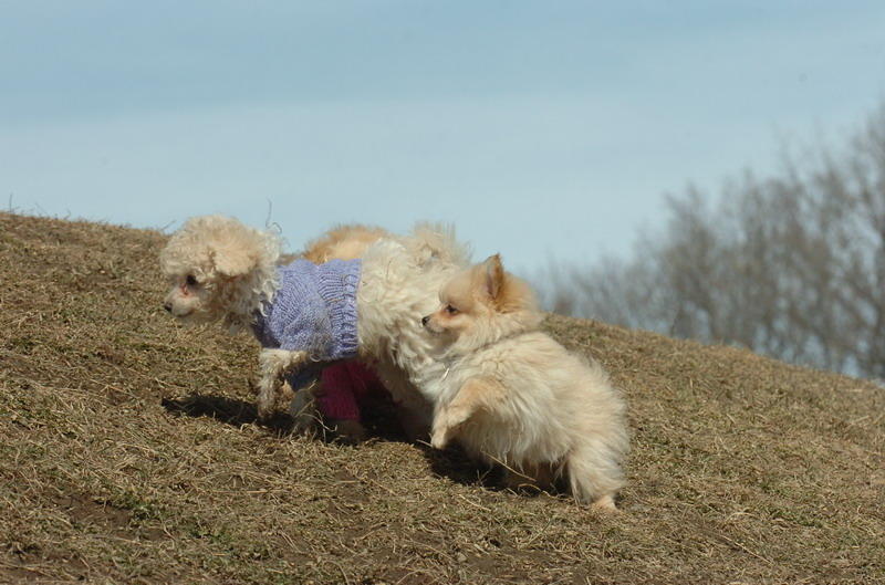 Mar9_07_207.JPG