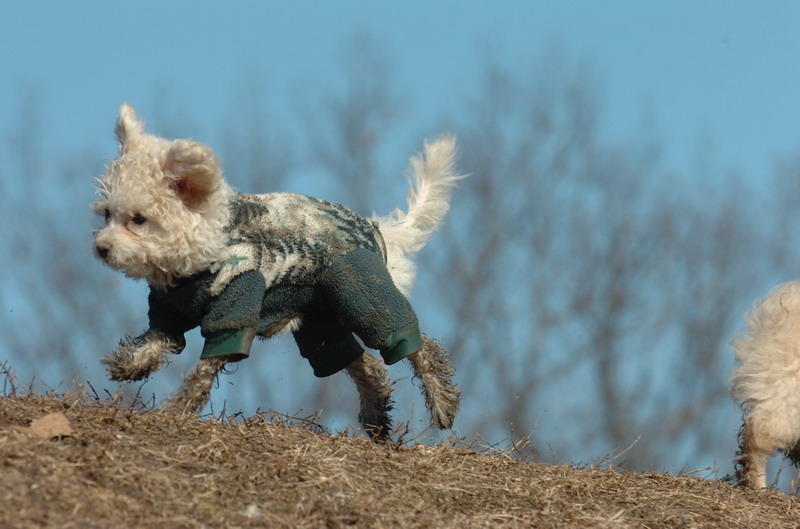 Mar11_07_585.JPG